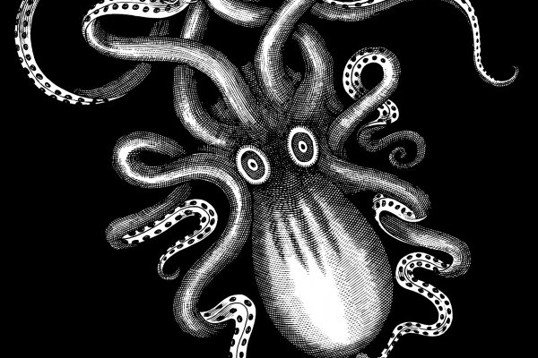 Kraken 8 at сайт