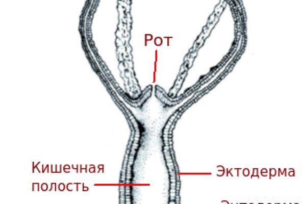 Kraken 13at магазин