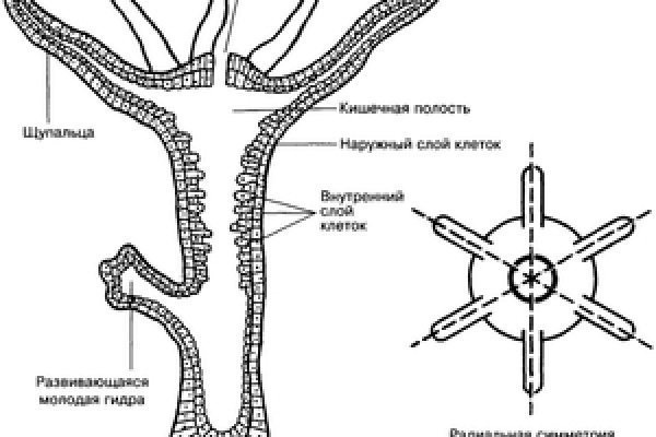 2krn сс что это такое