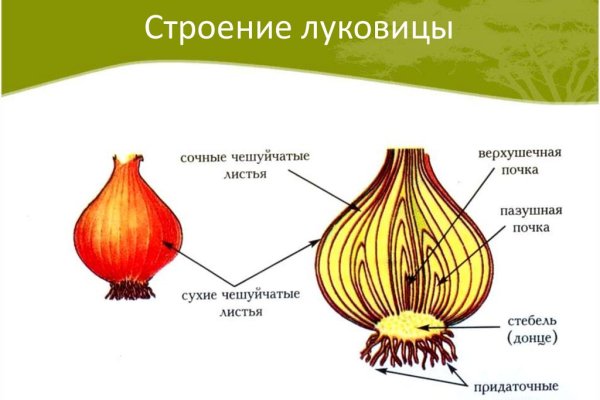 Купон кракен даркнет